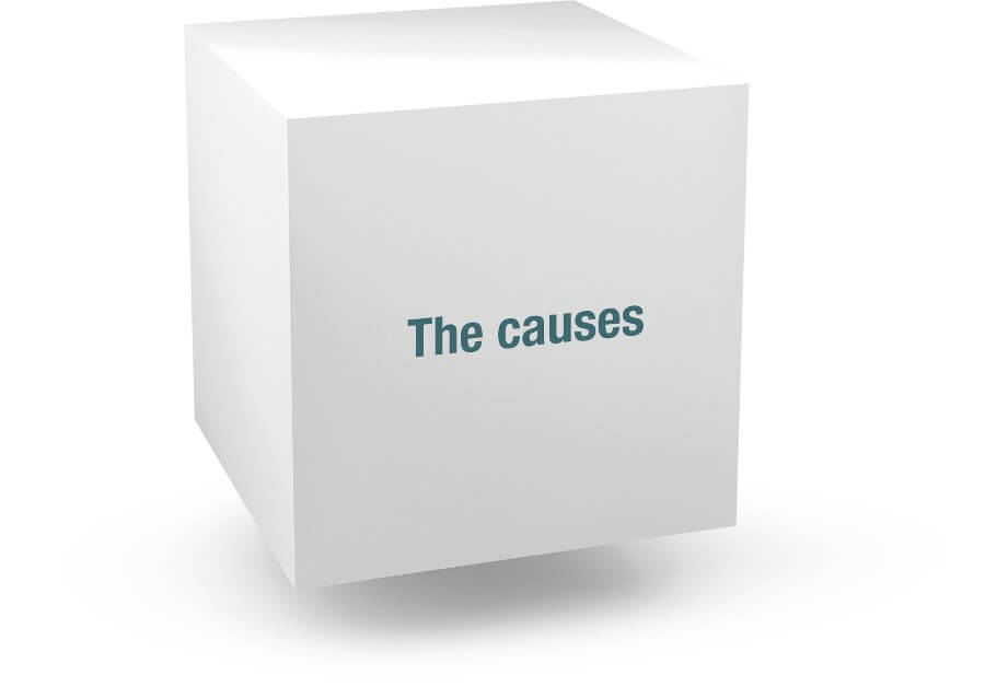 igg food allergy