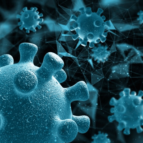 FMD Gut Microbiome