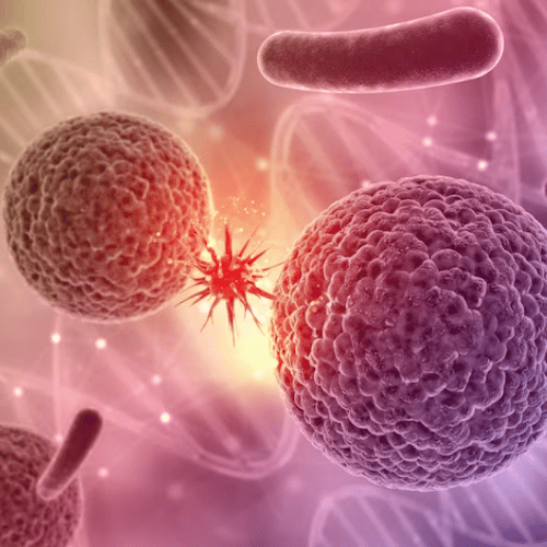 FMD Gut Microbiome