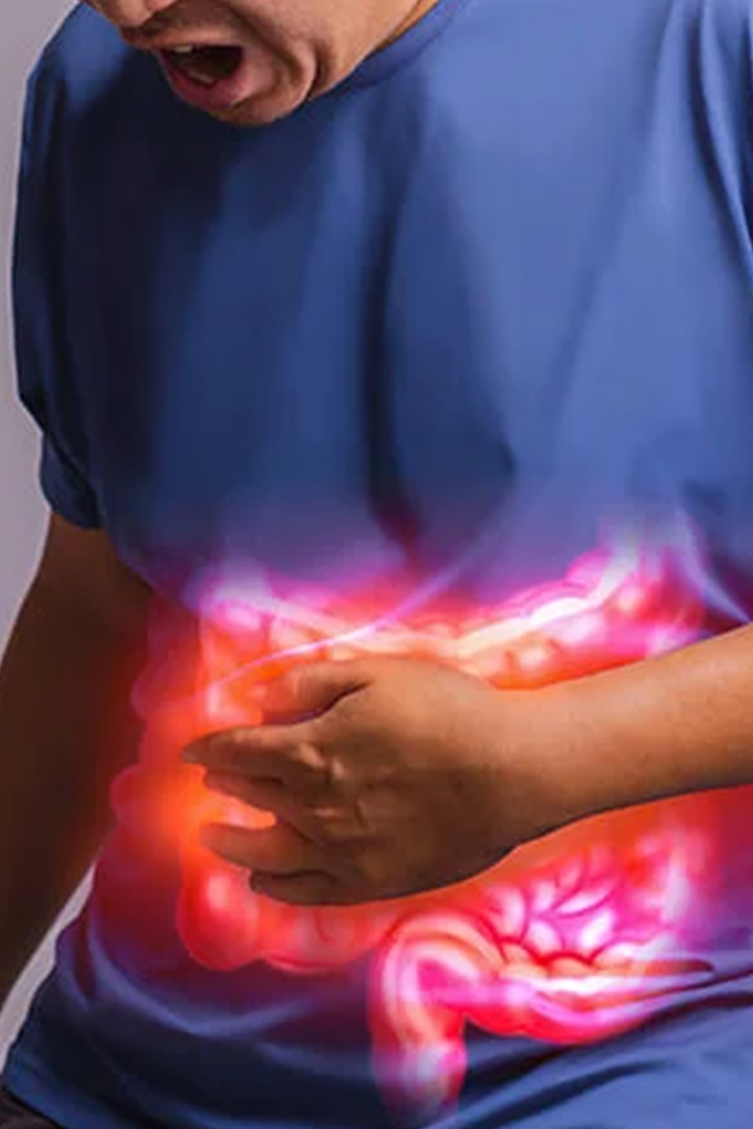 immune system